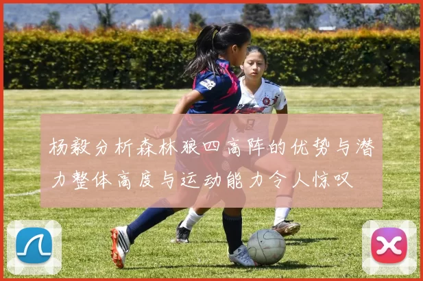 杨毅分析森林狼四高阵的优势与潜力整体高度与运动能力令人惊叹